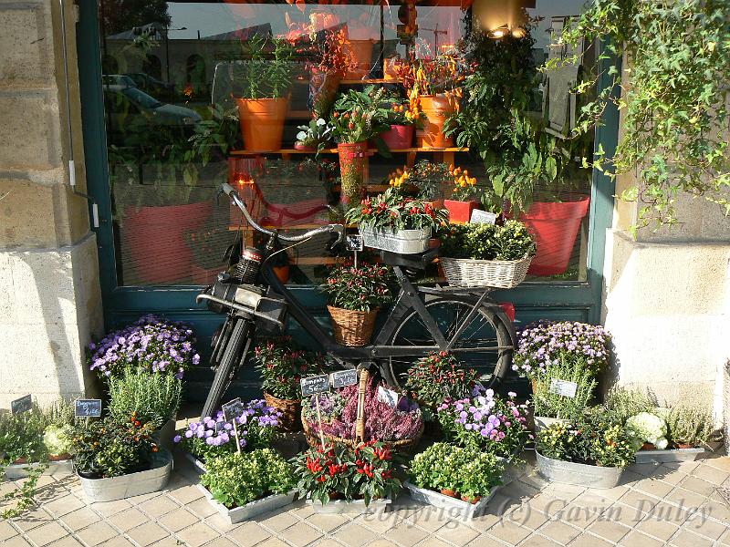 Flower shop, Bordeaux P1140579.JPG